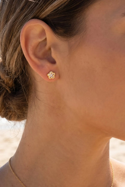 Boucles d’oreilles en acier inoxydable