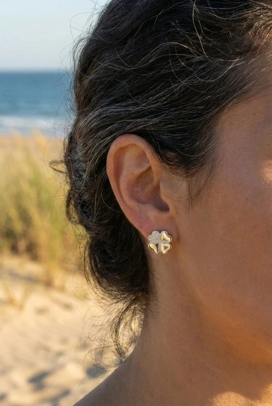 Boucles d’oreilles en acier inoxydable