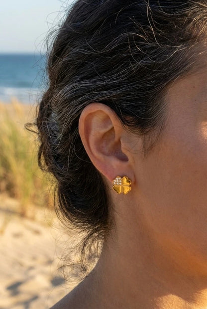 Boucles d’oreilles en acier inoxydable