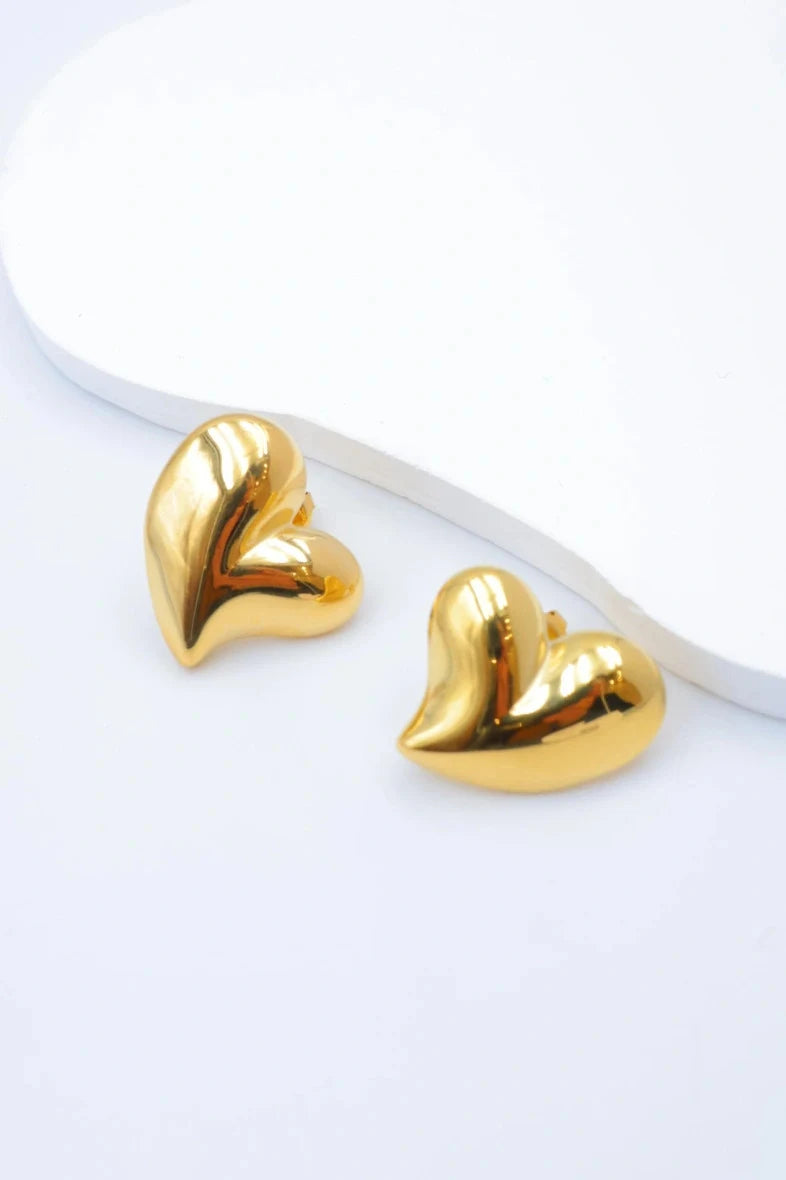Boucles d’oreilles en acier inoxydable
