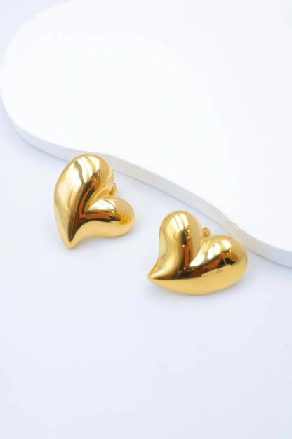 Boucles d’oreilles en acier inoxydable
