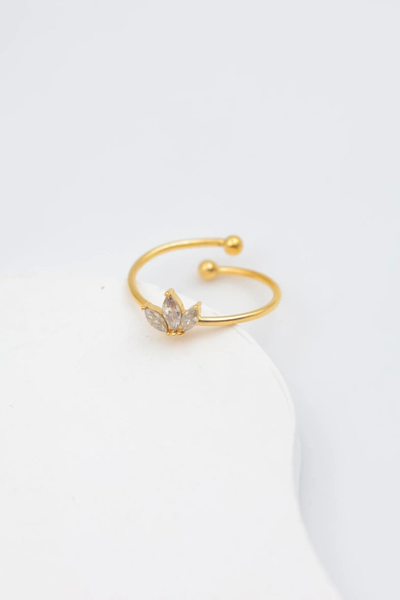 Bague en acier inoxydable ajustable - DORÉ