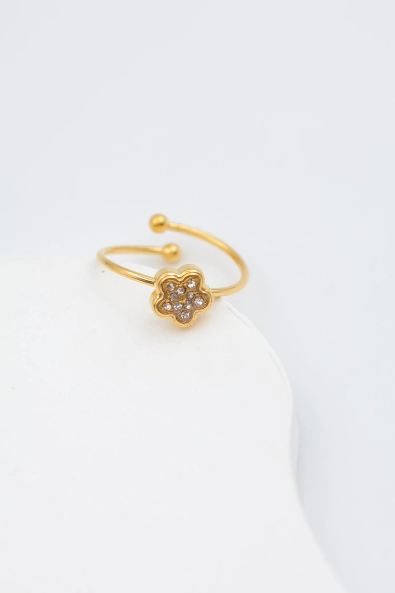 Bague en acier inoxydable ajustable - DORÉ