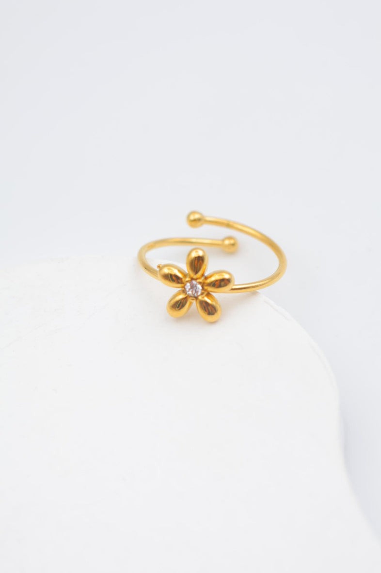 Bague en acier inoxydable ajustable - DORÉ