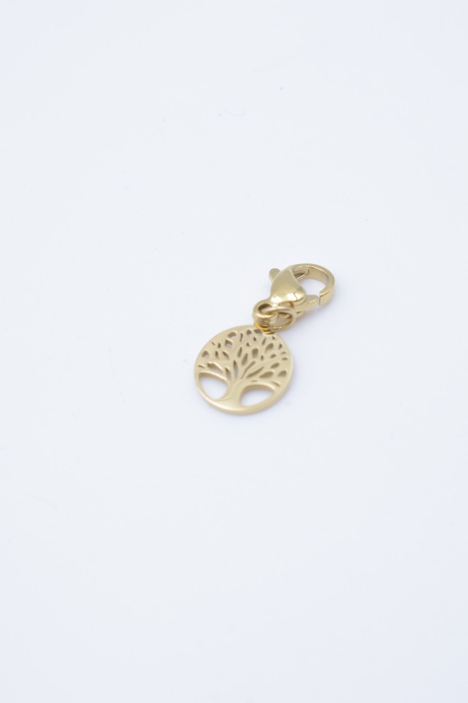 Pendentif en acier inoxydable - DORÉ