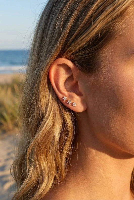 Piercings en acier inoxydable