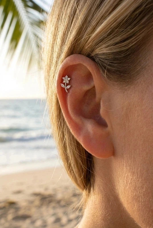 Piercings en acier inoxydable