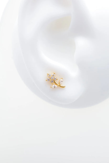 Piercings en acier inoxydable