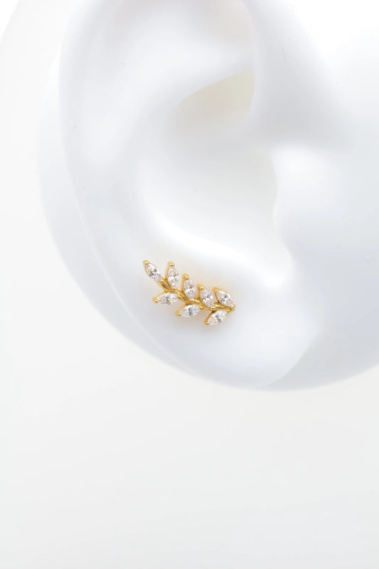 Piercings en acier inoxydable