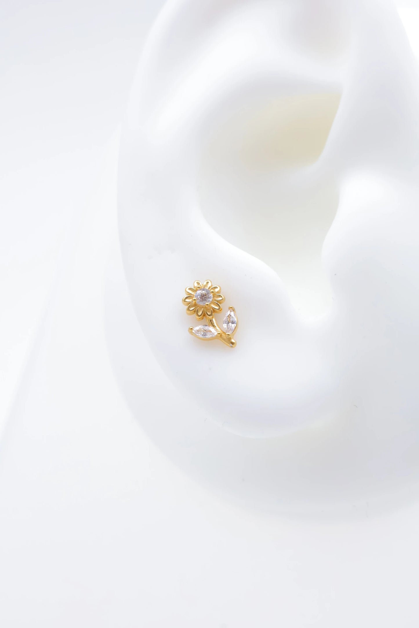 Piercings en acier inoxydable