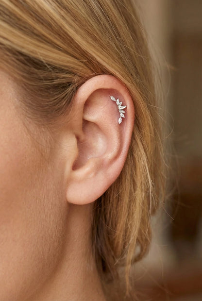 Piercings en acier inoxydable