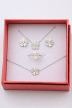 Parure - Boite - Acier Inoxydable - ARGENT