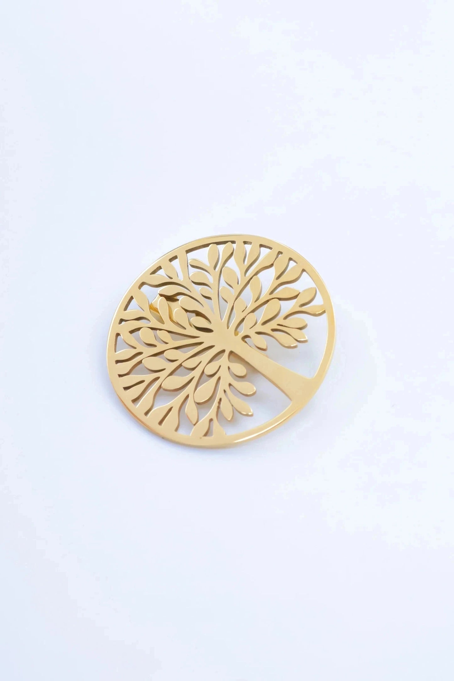 Broches élégantes