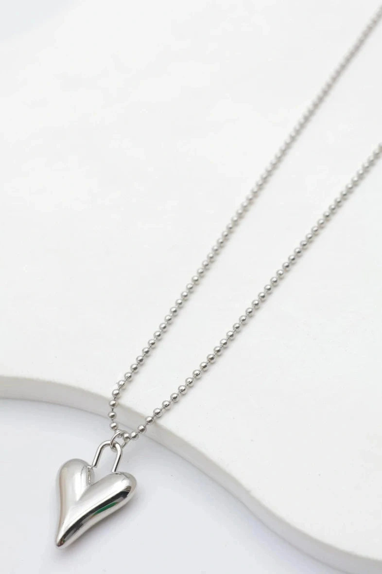 Colliers en acier inoxydable
