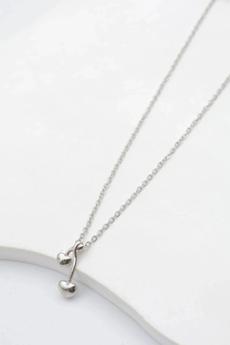 Colliers en acier inoxydable