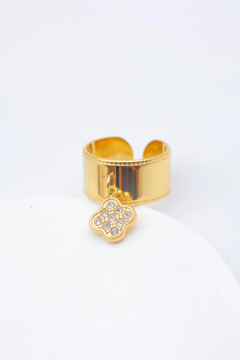Bague en acier inoxydable ajustable - DORÉ