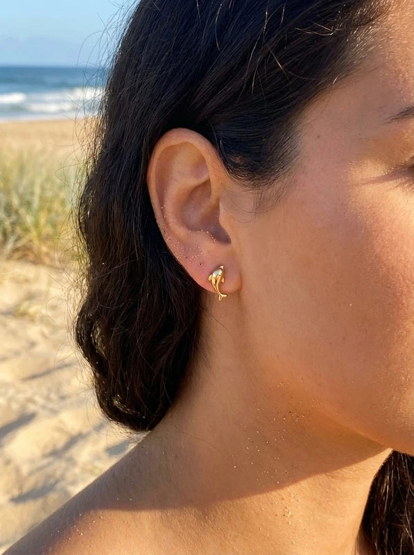 Boucles d’oreilles en acier inoxydable