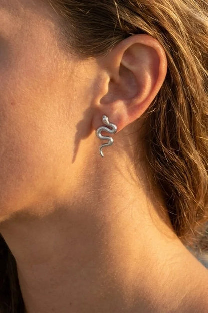 Boucles d’oreilles en acier inoxydable