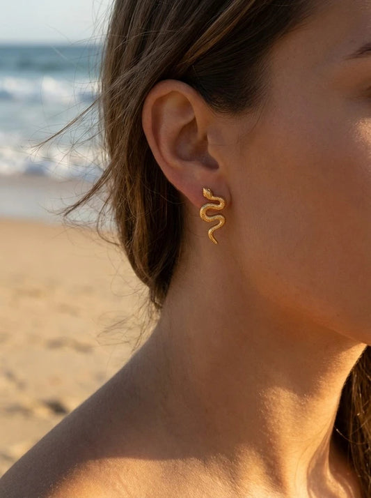 Boucles d’oreilles en acier inoxydable