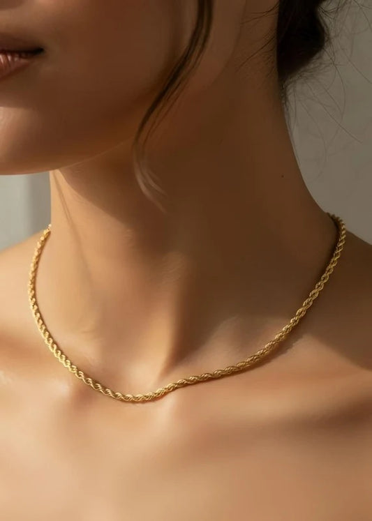 Colliers en acier inoxydable