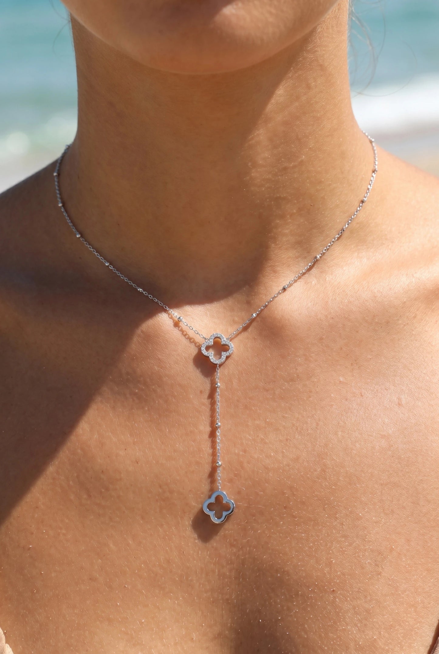 Colliers en acier inoxydable