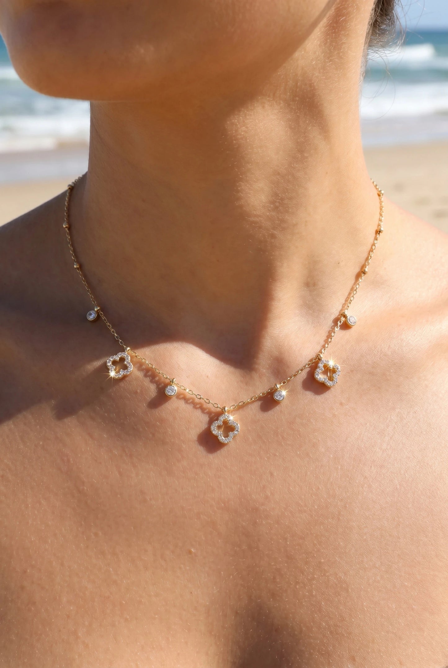 Colliers en acier inoxydable