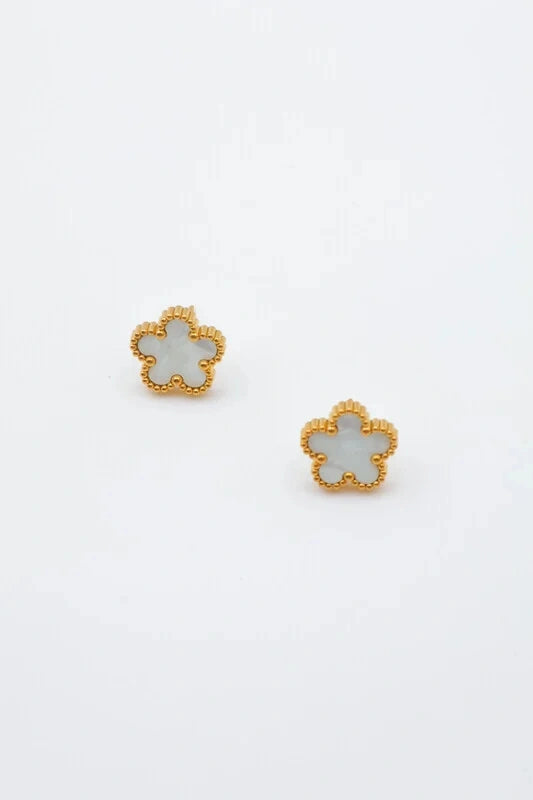 Boucles d’oreilles en acier inoxydable