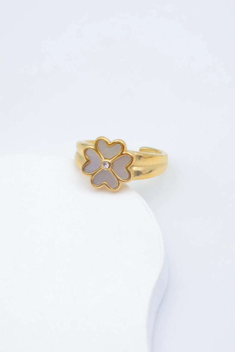 Bague en acier inoxydable ajustable - DORÉ