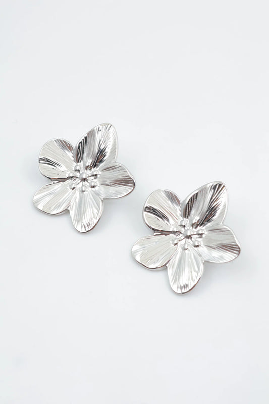 Boucles d’oreilles en acier inoxydable