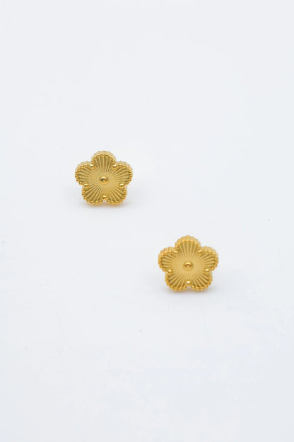 Boucles d’oreilles en acier inoxydable