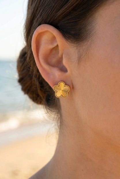 Boucles d’oreilles en acier inoxydable