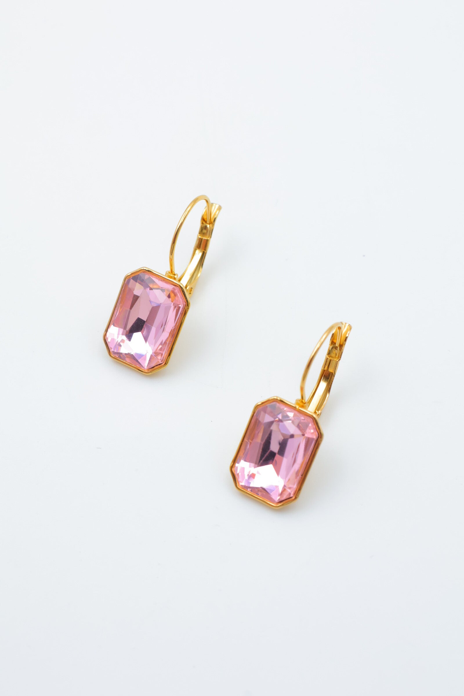 Boucles d'oreilles en acier inoxydable - ROSE