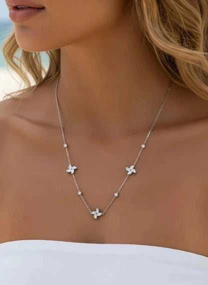 Colliers en acier inoxydable