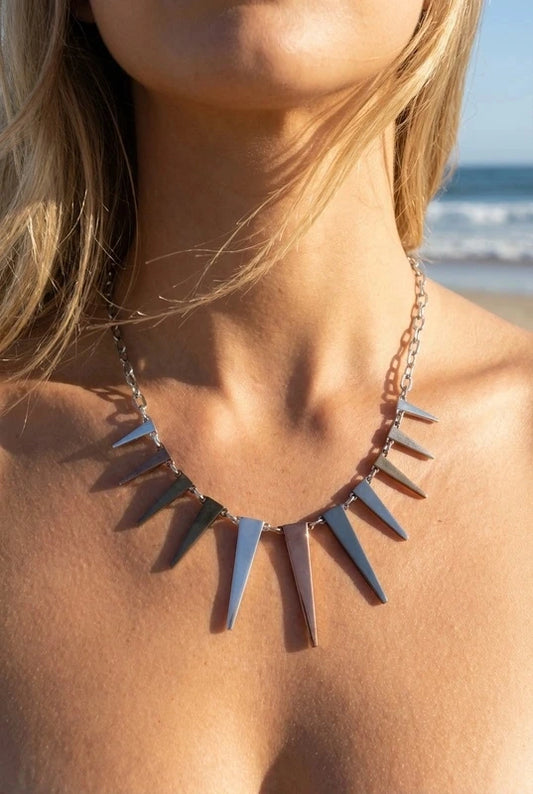 Colliers en acier inoxydable