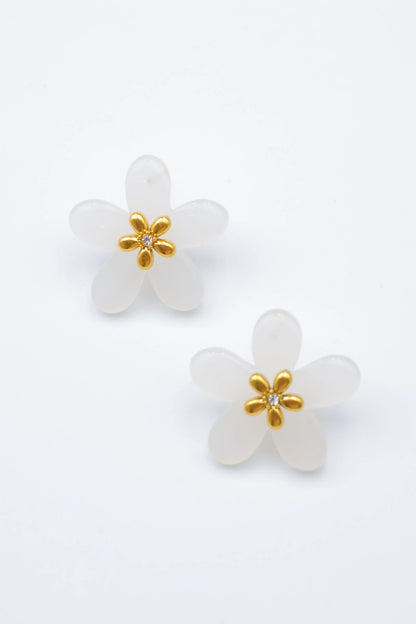 Boucles d’oreilles en acier inoxydable