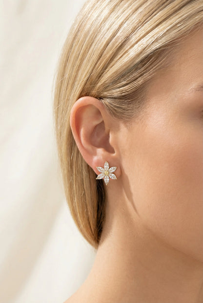 Boucles d’oreilles en acier inoxydable