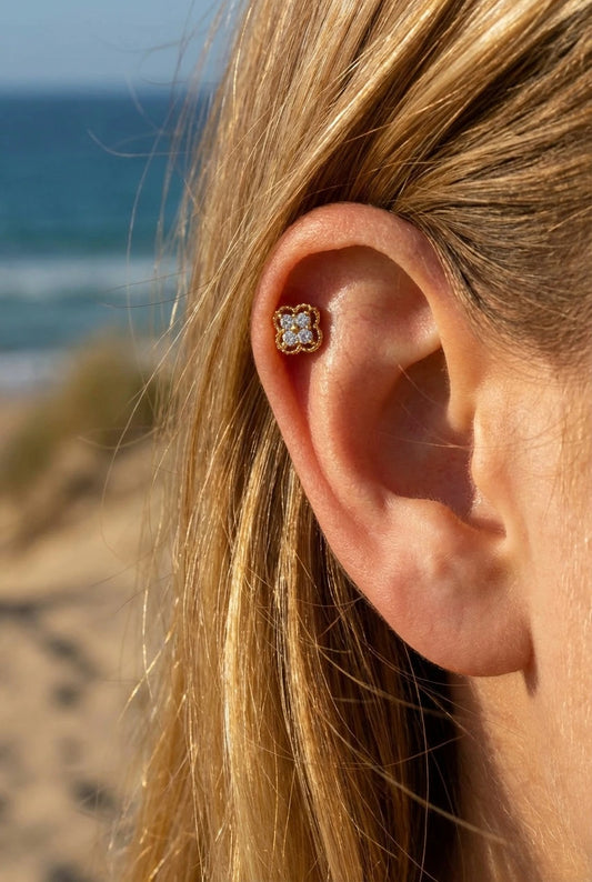 Piercings en acier inoxydable