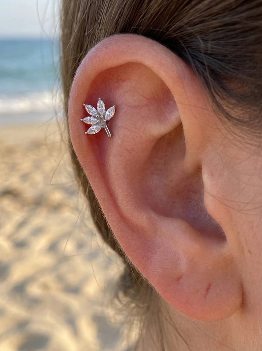 Piercings en acier inoxydable