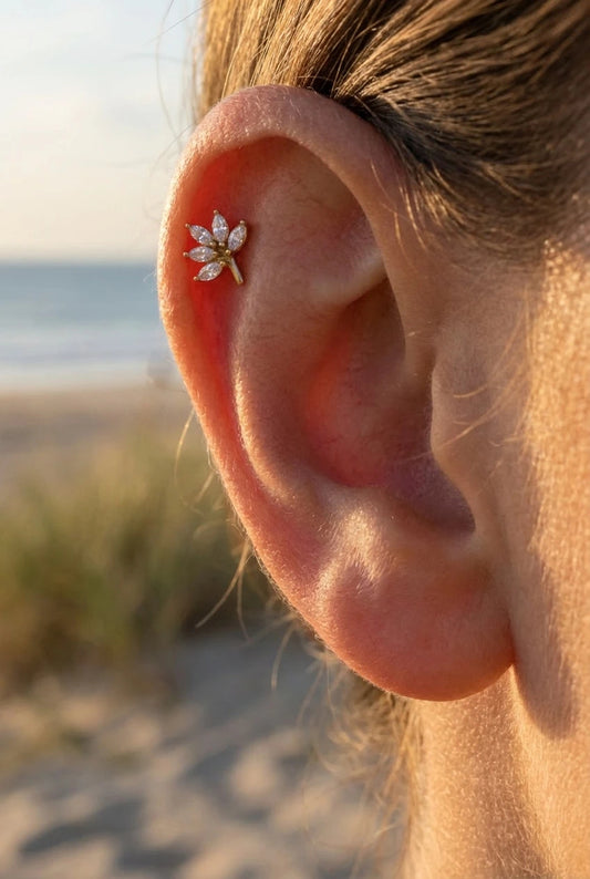 Piercings en acier inoxydable