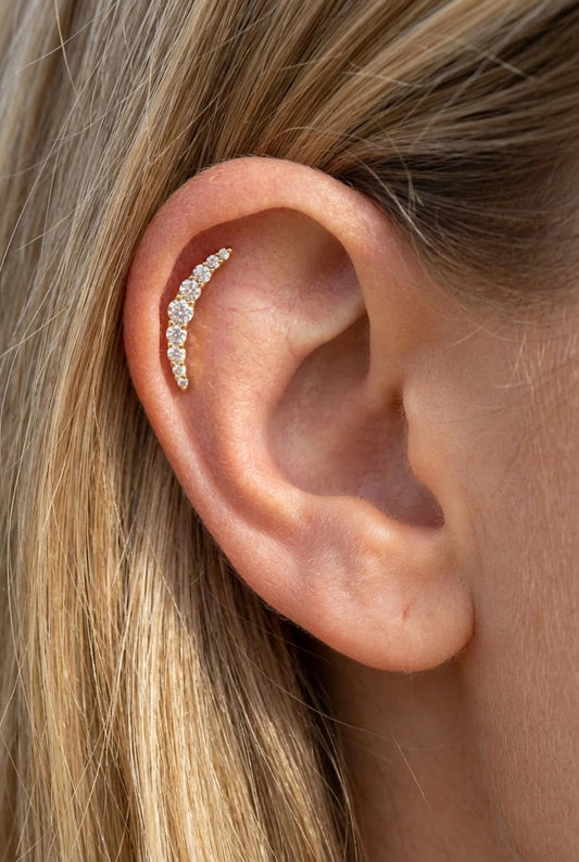 Piercings en acier inoxydable