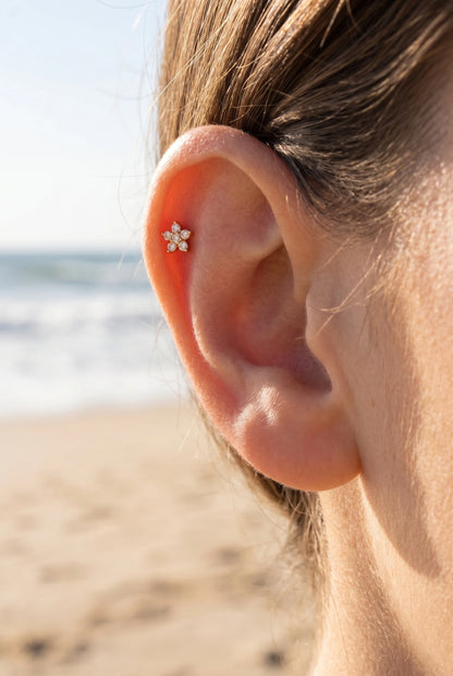 Piercings en acier inoxydable