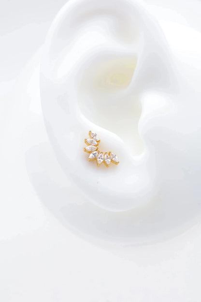 Piercings en acier inoxydable