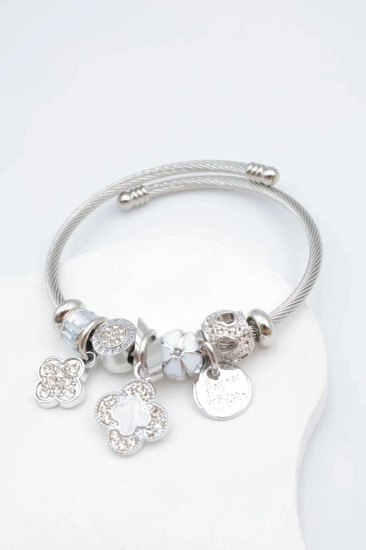 Bracelets en acier inoxydable