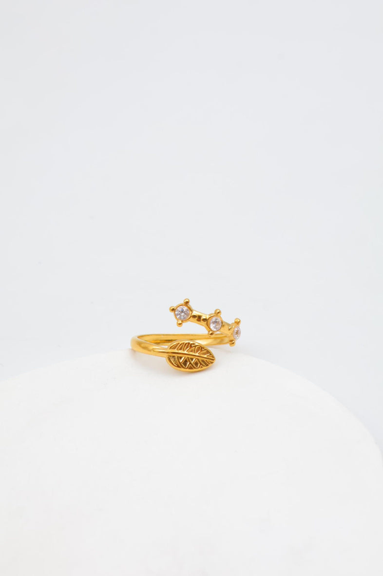Bague en acier inoxydable ajustable - DORÉ