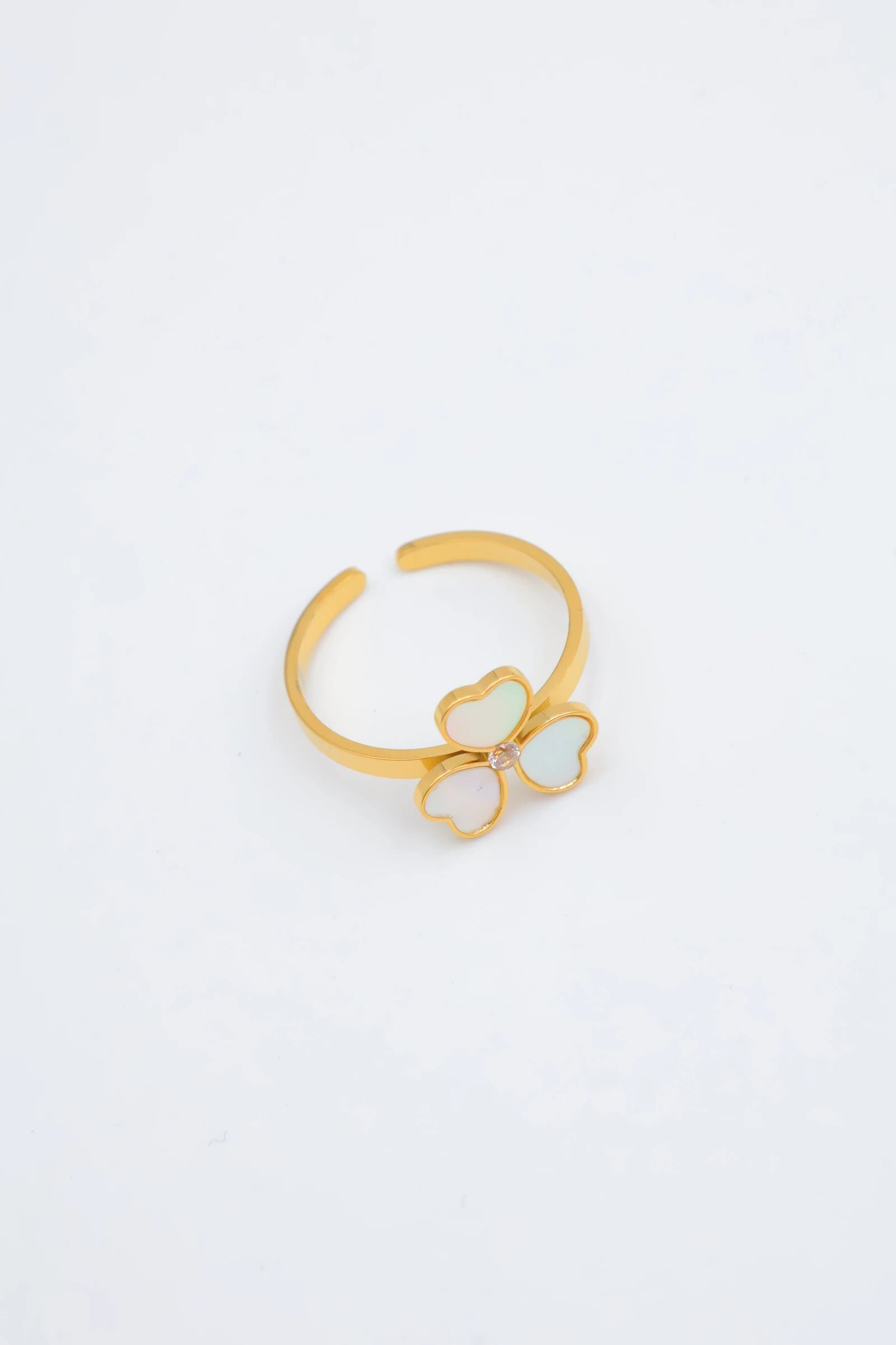 Bague en acier inoxydable ajustable - DORÉ