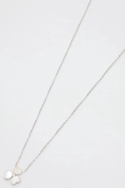 Colliers en acier inoxydable