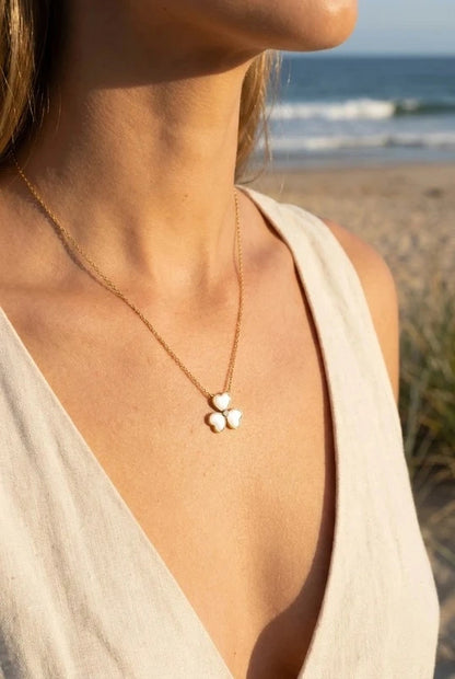 Colliers en acier inoxydable