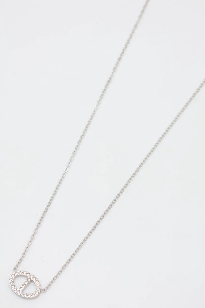 Colliers en acier inoxydable