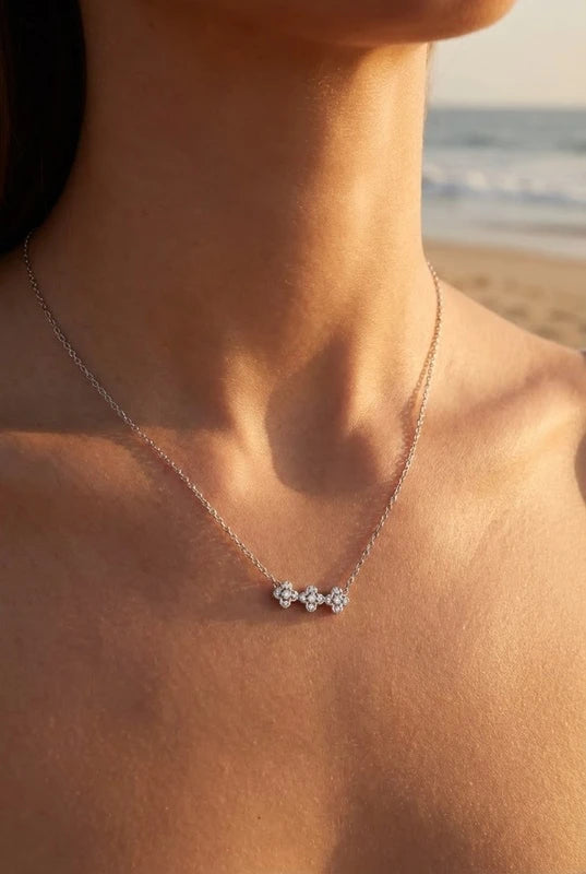 Colliers en acier inoxydable