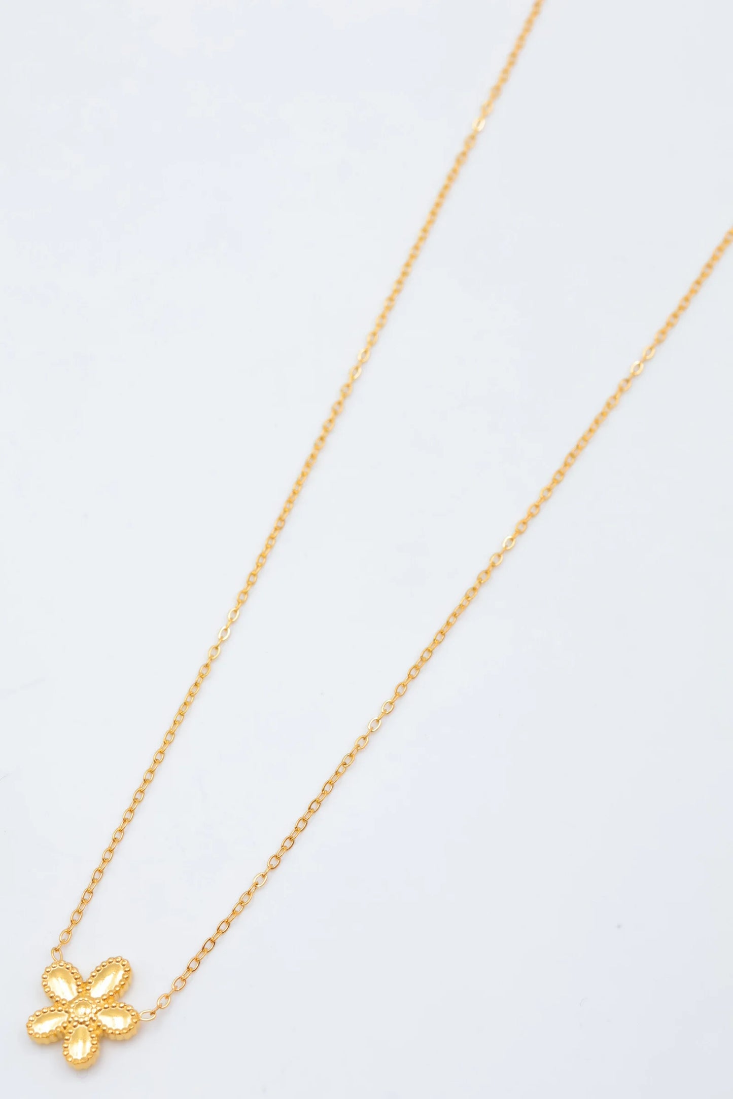 Colliers en acier inoxydable